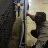 Double Density Pool Panels effectively 2 Panels in one